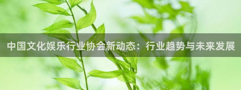 棋牌乐游戏：中国文化娱乐行业协会新动态：行业趋势与未来发展