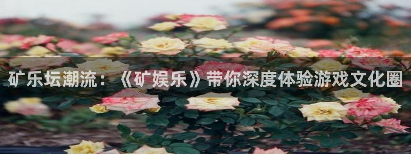 众乐游棋牌：矿乐坛潮流：《矿娱乐》带你深度体验游戏文化圈
