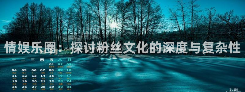 乐游网官网入口：情娱乐圈：探讨粉丝文化的深度与复杂性