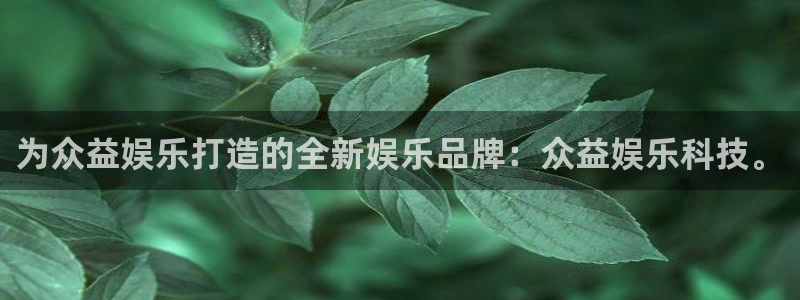 乐游棋牌怎么样：为众益娱乐打造的全新娱乐品牌：众益娱乐科技。