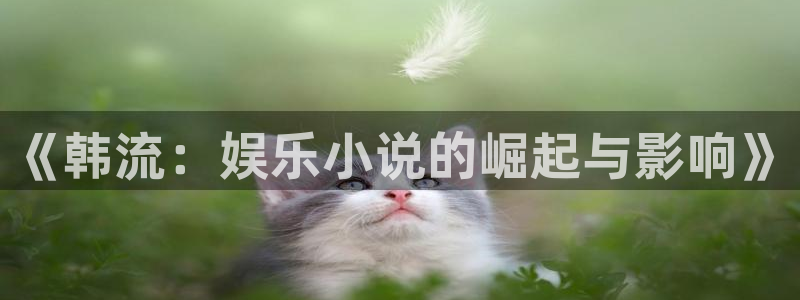 乐游棋牌地址：《韩流：娱乐小说的崛起与影响》