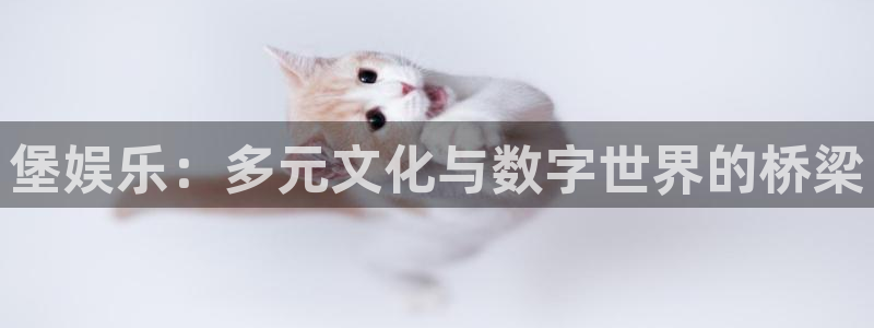 乐游棋牌怎么样：堡娱乐：多元文化与数字世界的桥梁