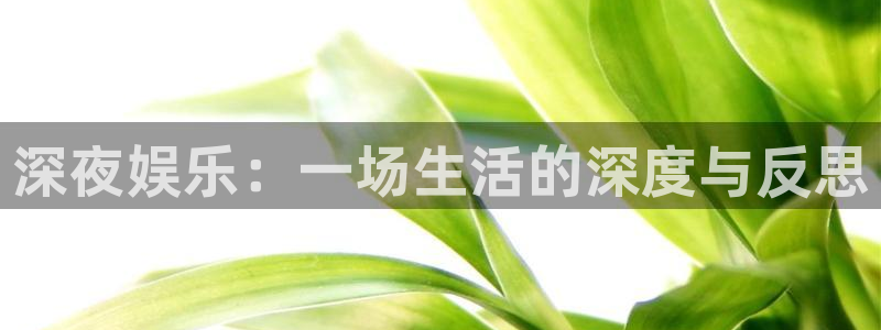 乐游棋牌注册：深夜娱乐：一场生活的深度与反思